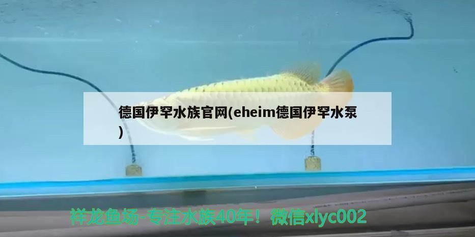 伊罕水族官網，eheim水泵，品質卓越，水