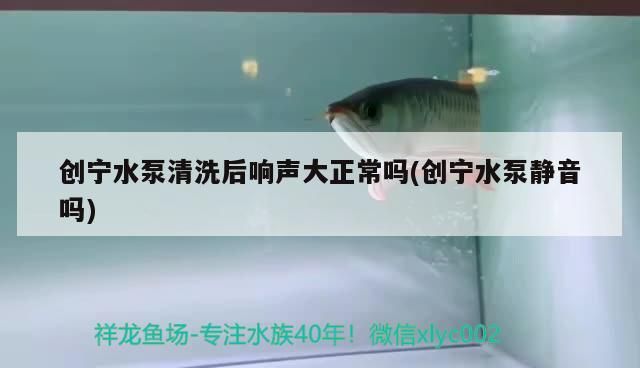 寧水泵清洗后響聲大是否正常？