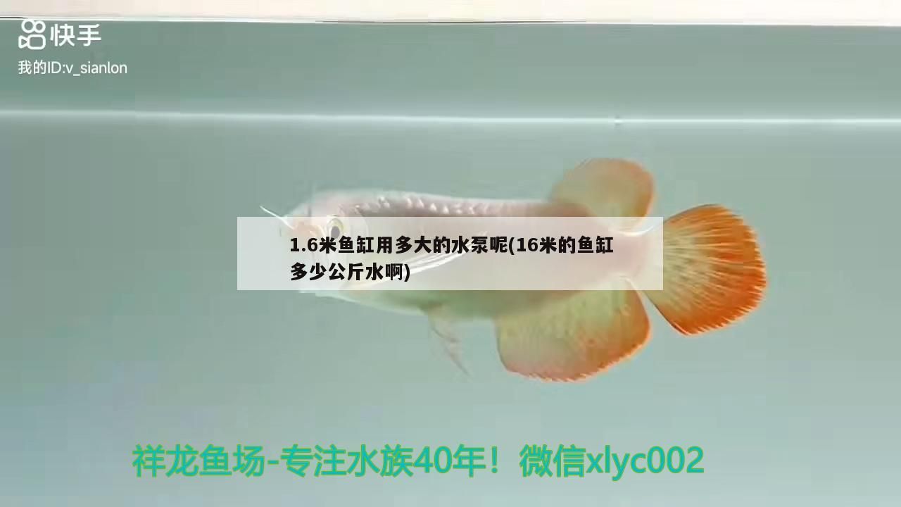 6米魚缸用多大水泵？