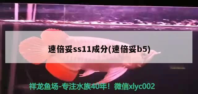 倍妥SS11成分揭秘，速倍妥B5的