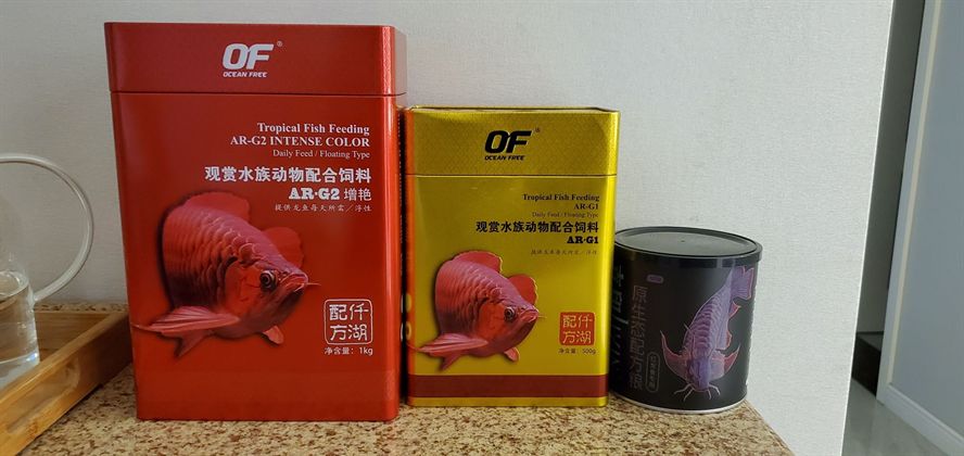 魯番觀賞魚市場，吉印魚糧試用裝到貨