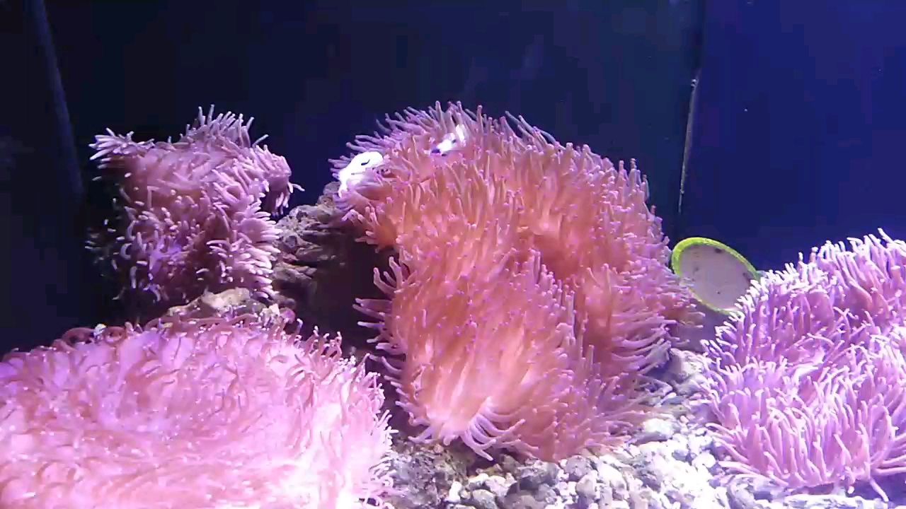 抱一顆平常心，于紛擾塵世中尋得內(nèi)心