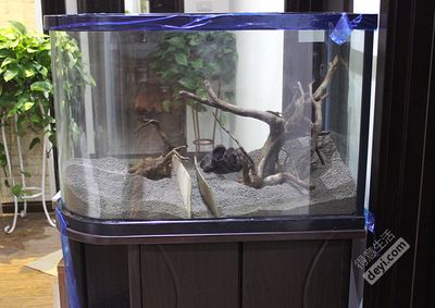 森成品魚缸質(zhì)量如何？