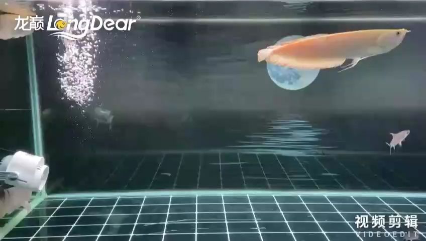 每日簽到，解鎖專屬福利，開啟精彩