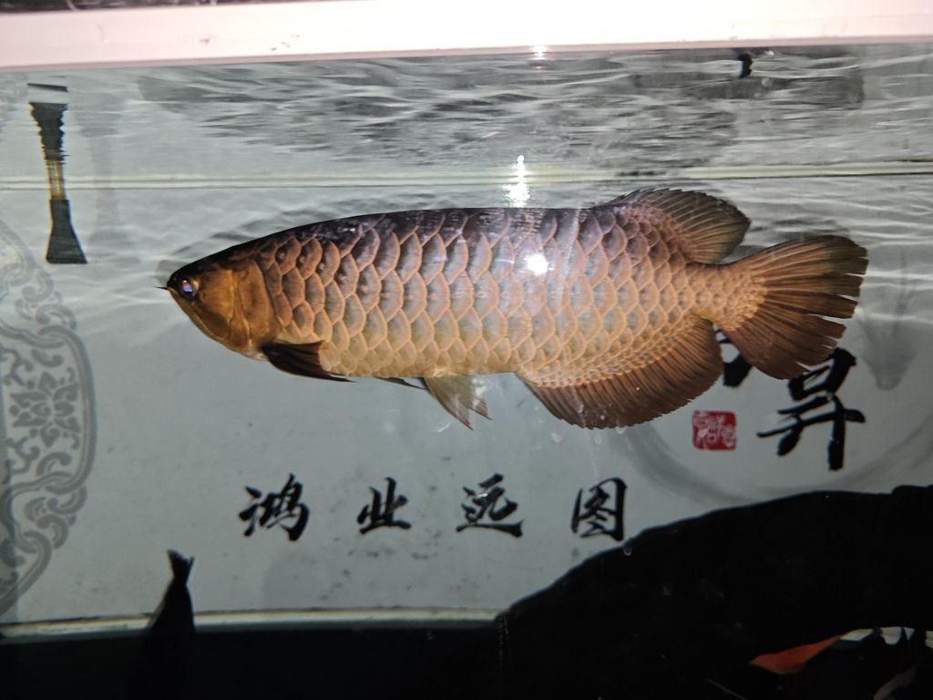 你還未提供具體內容，暫時無法生成長標題。