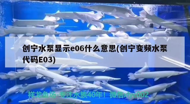寧水泵e06與變頻水泵E03代碼含義及