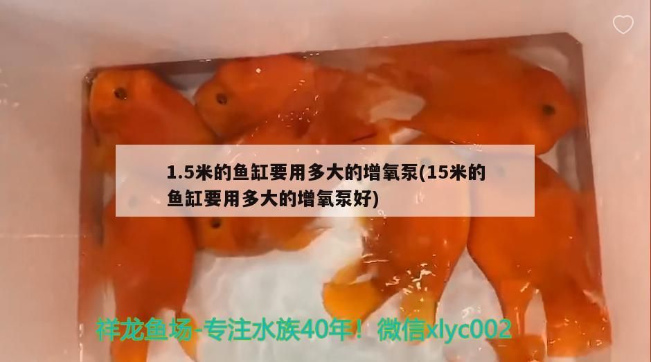 5米魚缸增氧泵選多大？