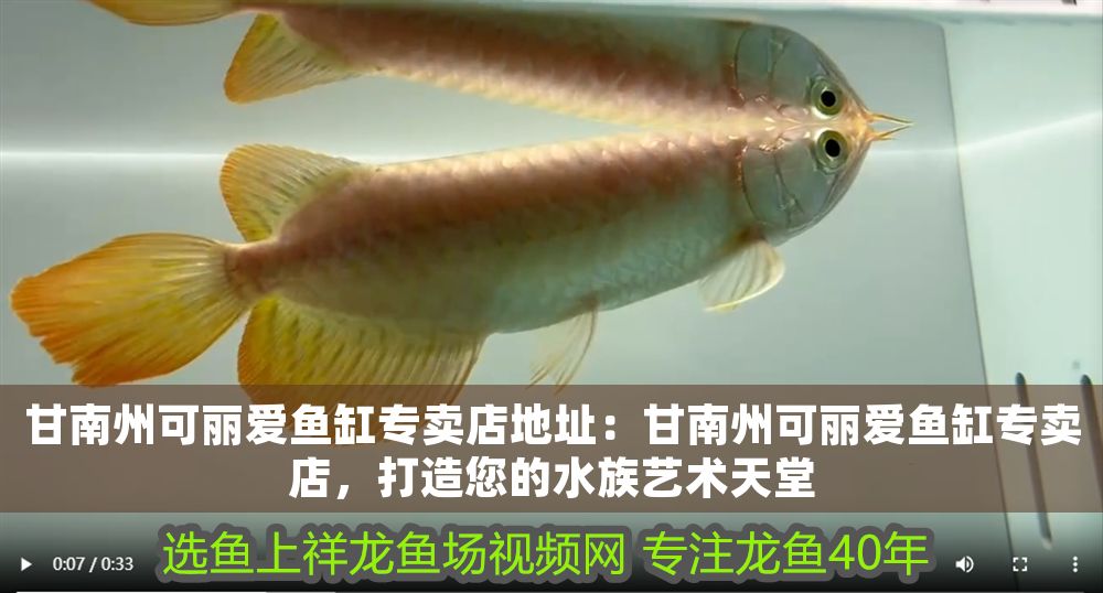 南州可麗愛魚缸專賣店，地址詳介，專屬您的