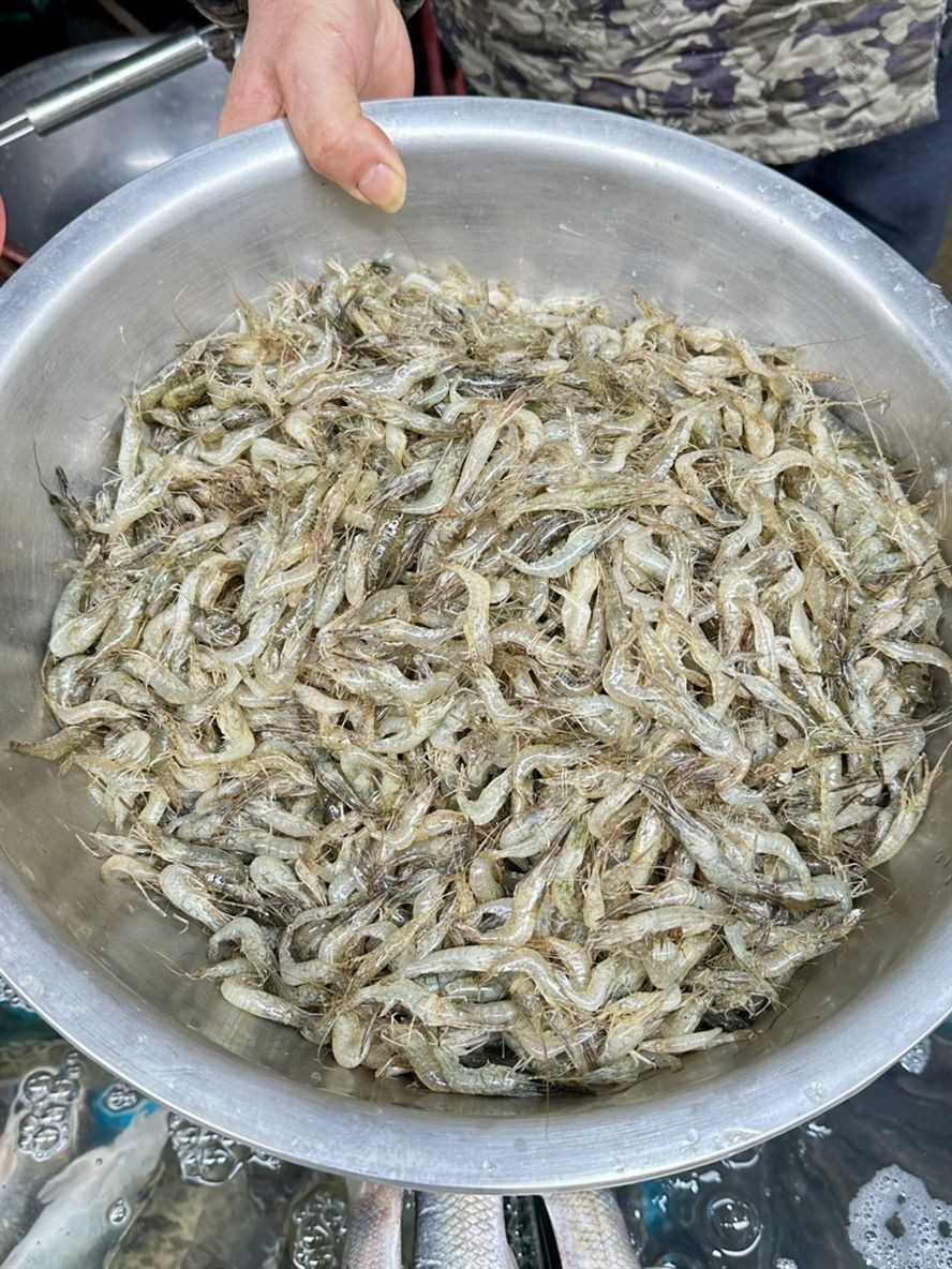 過年啦，為你精心烹制美味佳肴，共享團圓好