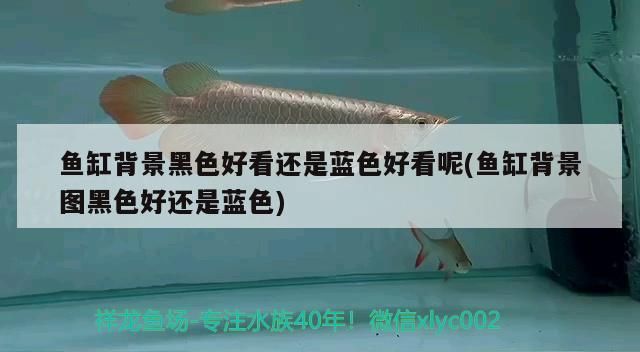 背景黑色與藍(lán)色大比拼，究竟哪種