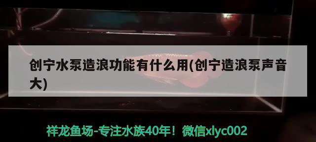 寧水泵造浪功能作用及造浪泵聲音大相關問題詳解