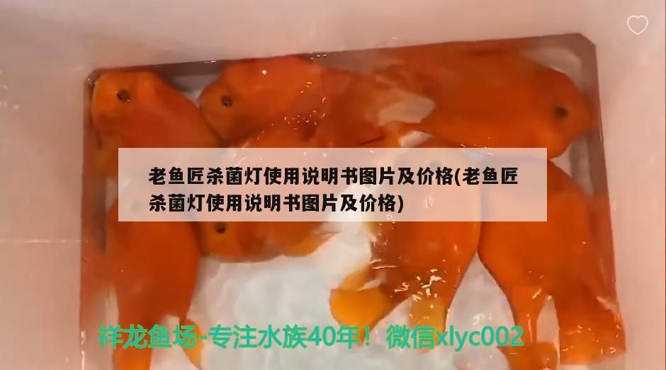 魚匠殺菌燈使用說明、圖片及價格詳情，養魚