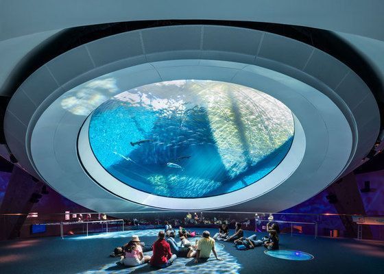 水族館項目全解析，規模、特色與運營規劃概述