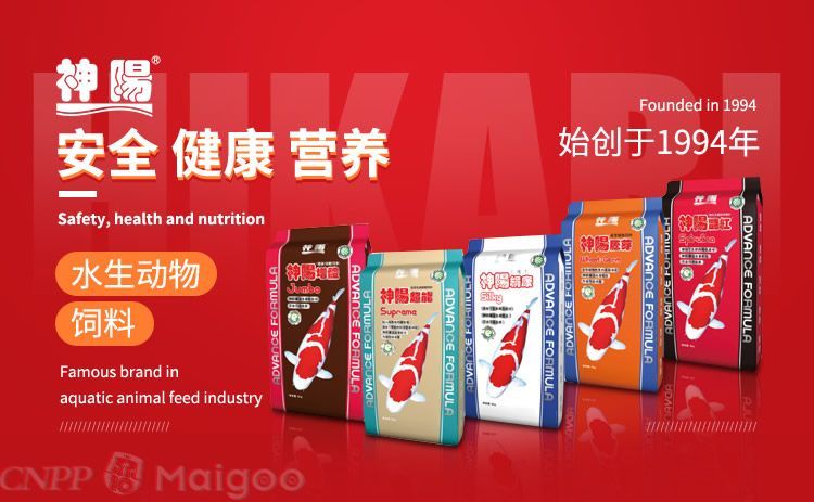 打卡，記錄生活點滴，留下時光足跡的別樣儀式