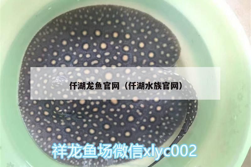 湖龍魚官網（仟湖水族官網），探尋高端水族世界，領略龍魚魅力