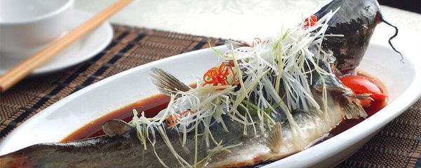 大白魚觀賞魚飼養要點，視頻詳解與日常養護技巧