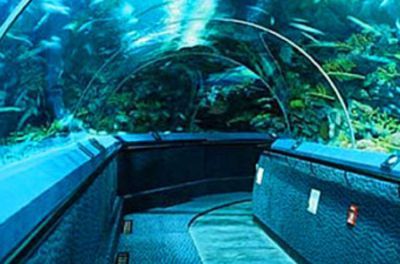 水族館排名，北京海洋館居首，其他熱門場館