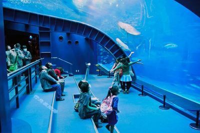水族館排名，北京海洋館居首，其他熱門場館