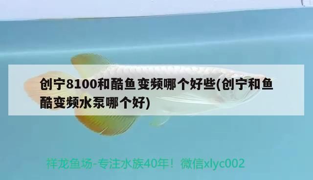 寧8100與酷魚變頻水泵對比，哪個(gè)更好