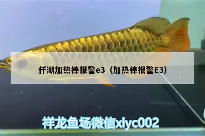 湖加熱棒出現(xiàn)E3報警，原因何在？