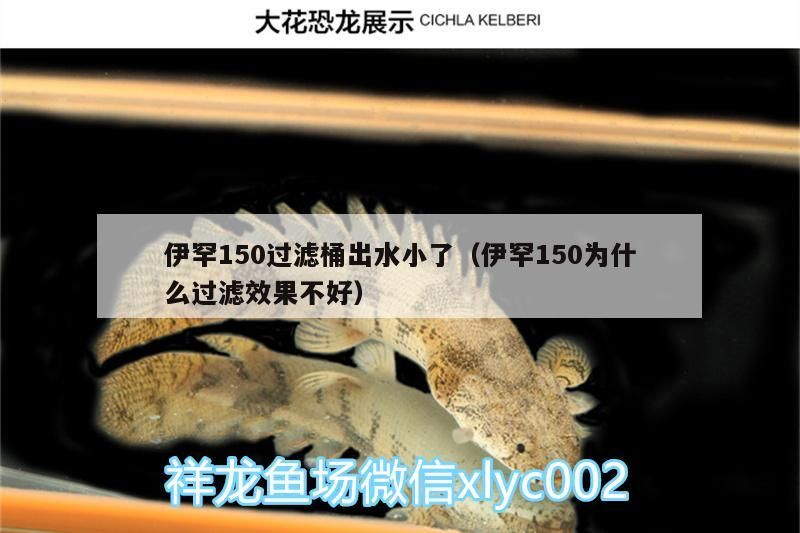 罕150過濾桶出水變小，是何原因導致其過濾