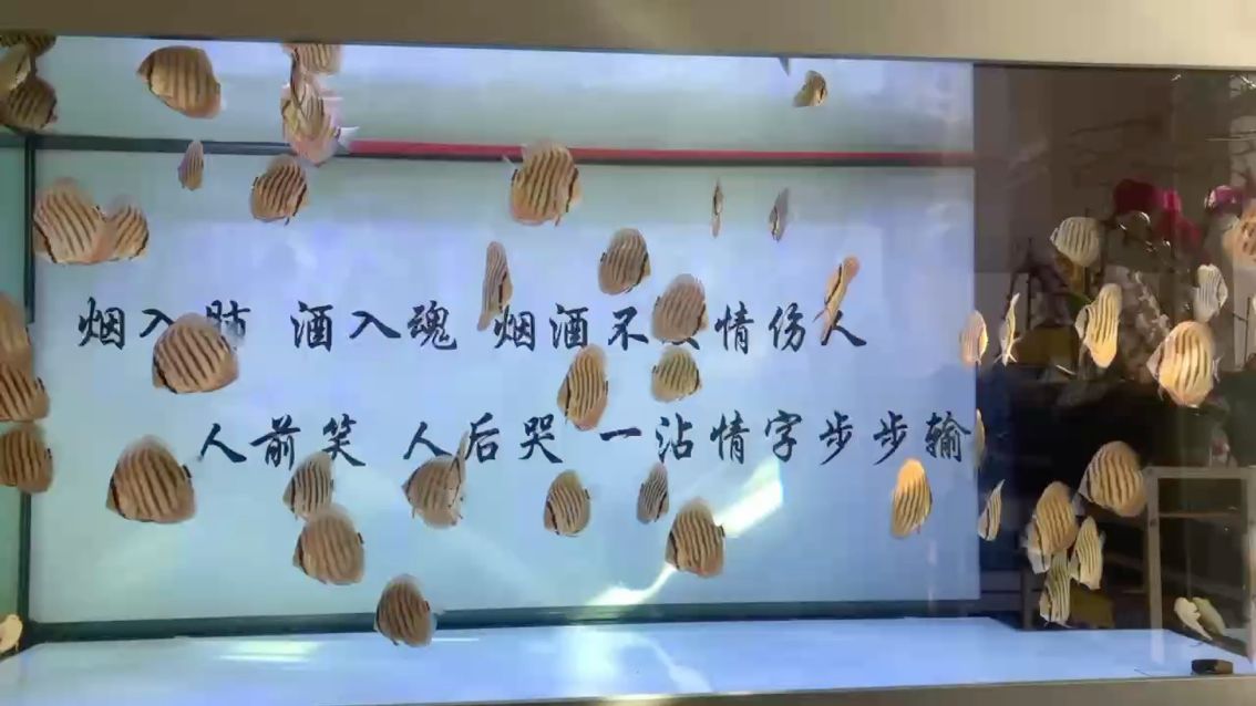 探尋漂亮之韻，從外在之美到內在魅力的