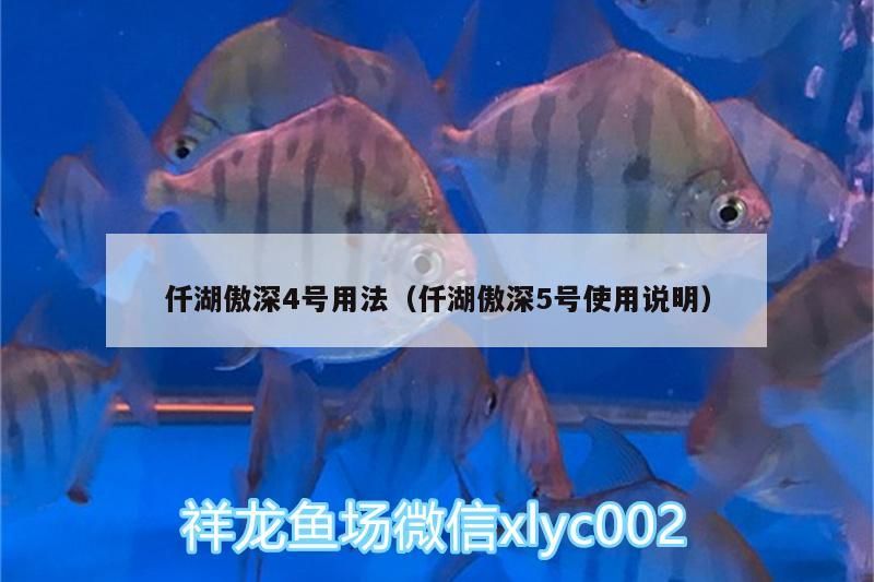 湖傲深4號與5號用法及使用說明詳解，使用方法及