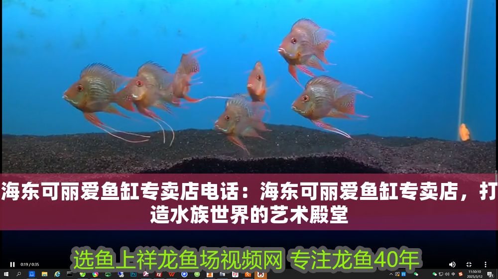 東可麗愛魚缸專賣店，電話暢聯，筑就水 東可麗愛魚缸專賣店，電話暢聯，筑就水 iwish愛唯希品牌魚缸 第1張