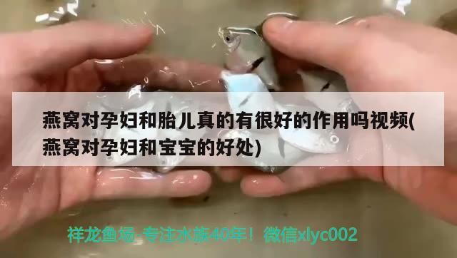 爬爬水族用品店，專業(yè)水族產(chǎn)品，打造水