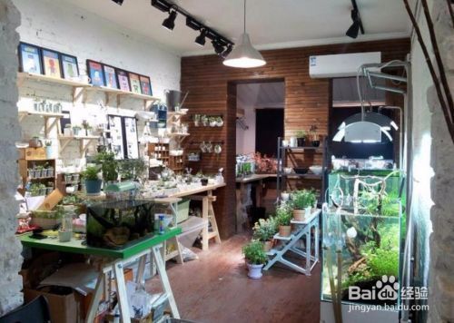 族館全攻略，裝修風格指南及