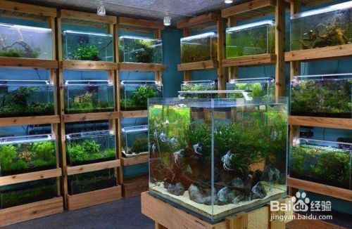 族館全攻略，裝修風格指南及