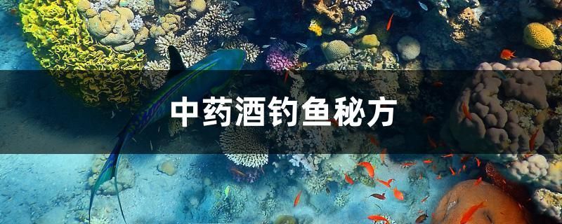 酒釣魚秘方大揭秘，自制特效魚餌，輕松提升