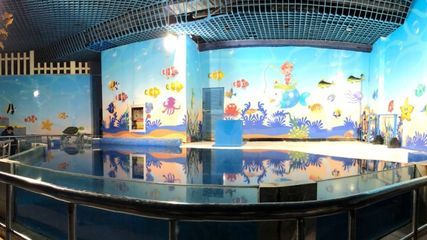 探尋yee水族世界官網(wǎng)，功能、特色及相關(guān)信息全 探尋yee水族世界官網(wǎng)，功能、特色及相關(guān)信息全 yee 第4張