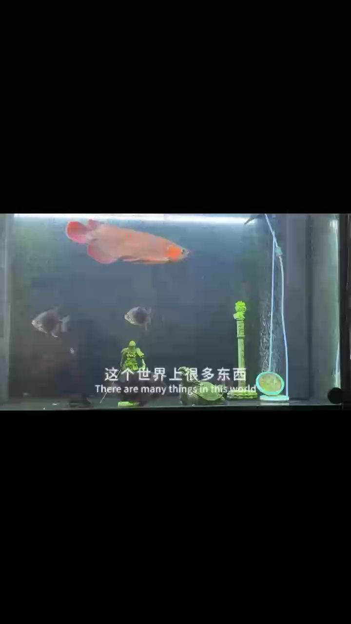成長軌跡，點滴記錄中見證自我蛻變