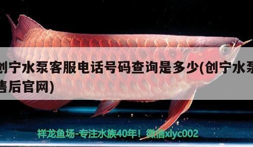 寧水泵客服電話及售后官網查詢，號碼是多少