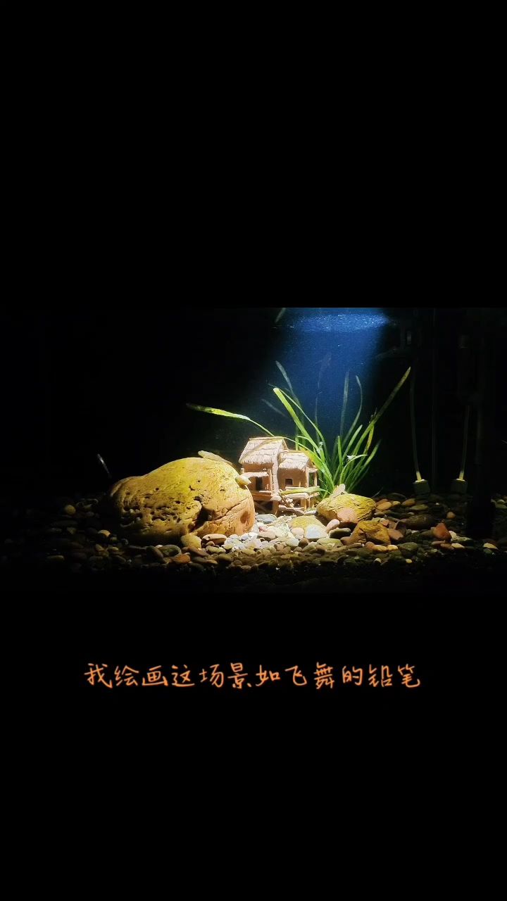 九魚快，暢享美味鮮魚，快捷送達的優質