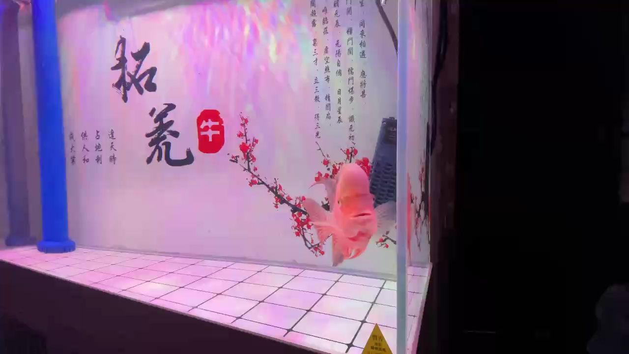 尚未成功，你還需努力！