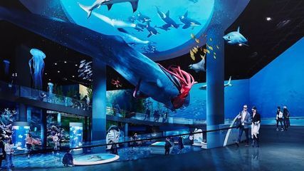 上海海洋水族館探秘,親子游體驗與活動全 水族館百科(水族館加盟) 第4張 上海海洋水族館探秘,親子游體驗與活動全 上海海洋水族館探秘,親子游體驗與活動全 水族館百科(水族館加盟) 第4張