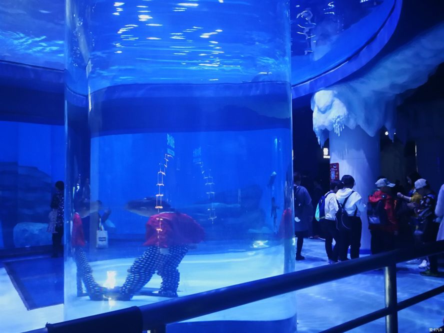 上海海洋水族館探秘,親子游體驗與活動全 水族館百科(水族館加盟) 第5張 上海海洋水族館探秘,親子游體驗與活動全 上海海洋水族館探秘,親子游體驗與活動全 水族館百科(水族館加盟) 第5張