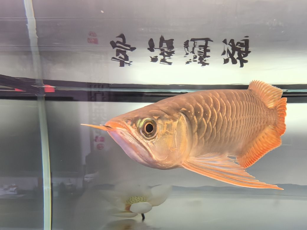 堅持愛好，讓生活充滿色彩與無限
