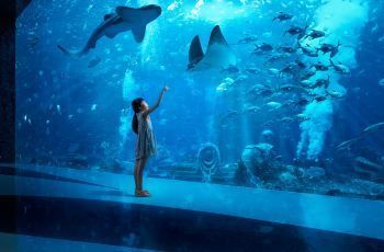 水族館哪家強？三亞亞特蘭蒂斯門票價格及