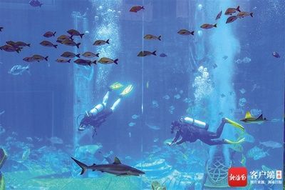 水族館哪家強？三亞亞特蘭蒂斯門票價格及 水族館哪家強？三亞亞特蘭蒂斯門票價格及 水族館百科（水族館加盟） 第5張