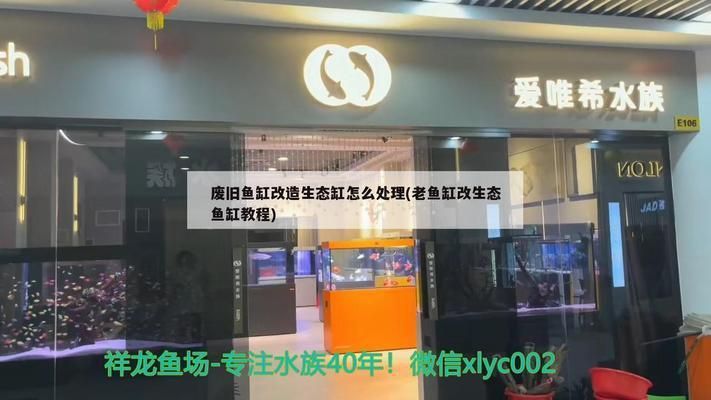 魚缸改造成造景魚缸方法大揭秘，祥龍魚場