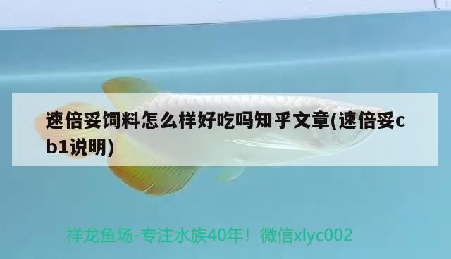倍妥飼料知乎文章，cb1說明及口感評價，到底