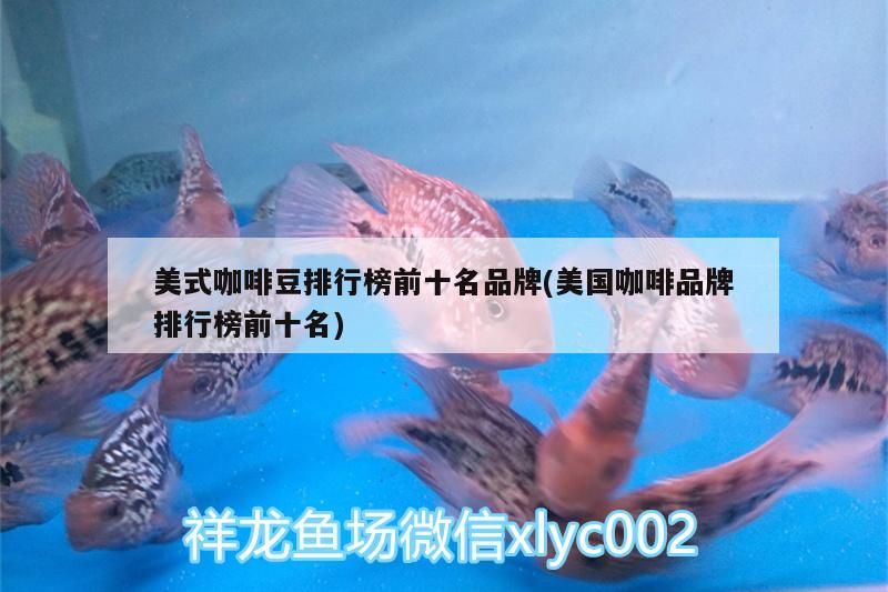 咖啡豆前十名品牌揭曉，美國(guó)咖啡