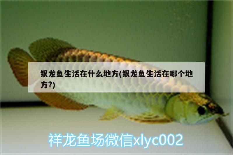 龍魚生活水域揭秘，淡水環境及