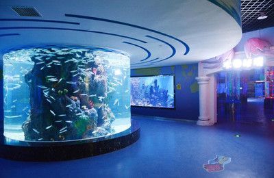 市水族展覽館2023年免費(fèi)開放時(shí)間詳情，水族館免費(fèi)開放