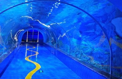 市水族展覽館2023年免費(fèi)開放時(shí)間詳情，水族館免費(fèi)開放