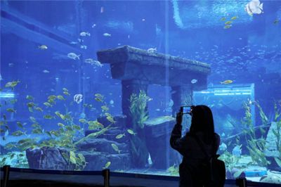市水族展覽館2023年免費(fèi)開放時(shí)間詳情，水族館免費(fèi)開放