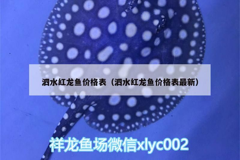 水紅龍魚價格表（最新），市場行情、品種差異
